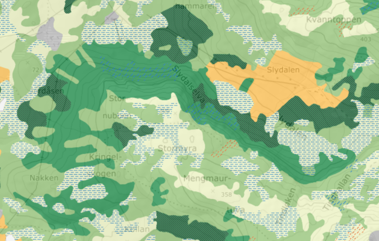 Det er mye godt og svært godt beite i Nord-Norge. Dette kartutsnittet er fra Vestvågøy kommune som var test-kommune i prosjektet. Jo mørkere grønnfargen er, jo bedre er beitekvaliteten. Oransje farge betyr at det er beitevoller og hagamarkskog i området. Kartutsnitt: kilden.nibio.no, © Geovekst