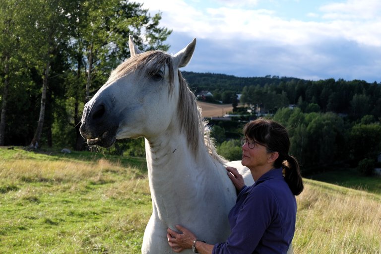 Grete Stokstad er seniorrådgjevar i NIBIO og har leia den norske delen av prosjektet «HESTEFORSK: In depth understanding and visualization of socio-economic effects of the horse industry», eit samarabeid mellom NIBIO og Högskolan Dalarne i Sverige. Norges forskningsråd og Stiftelsen hästforskning har finansiert prosjektet. Foto: S. Stokstad