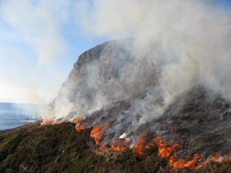 Brenning av kystlynghei Foto (b) LG Velle.jpg