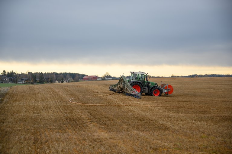 Tidleg spreiing med stripespreiar kan minska tapa av nitrogen betydeleg. Foto: Erling Fløistad