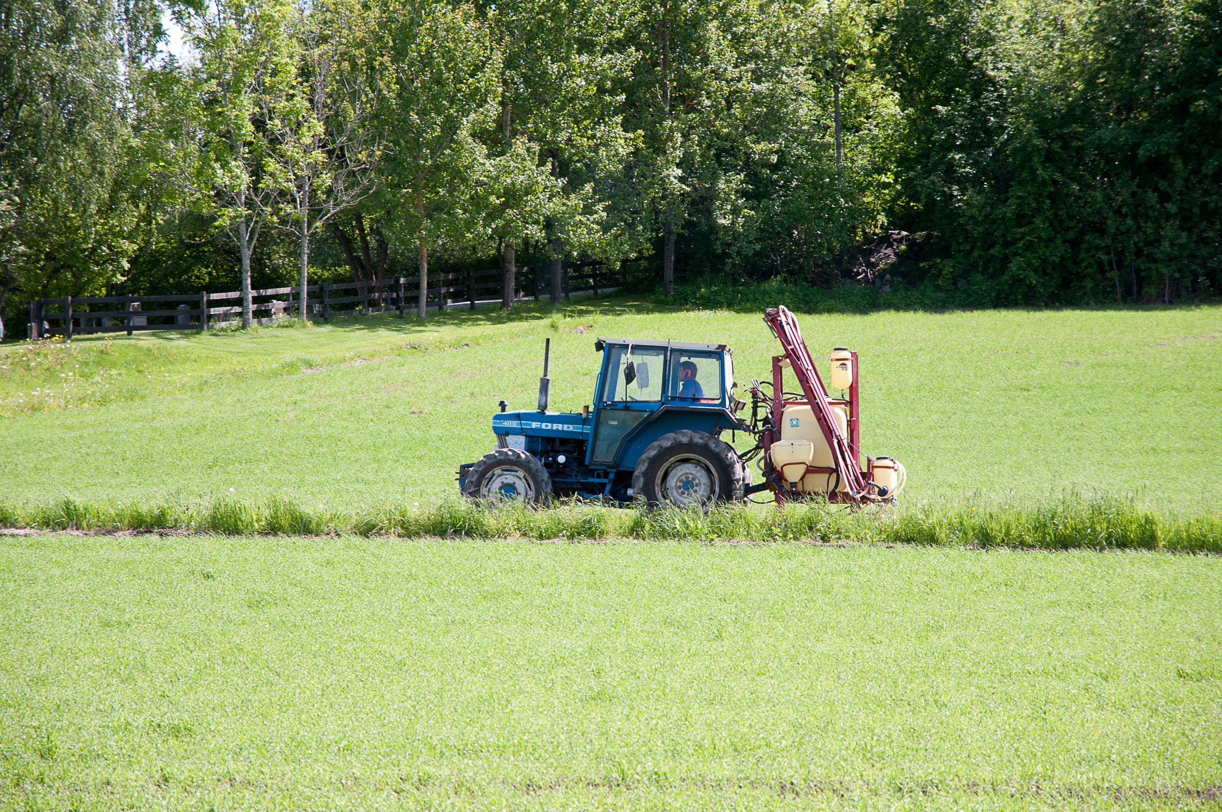 ef-20110601-142255.jpg