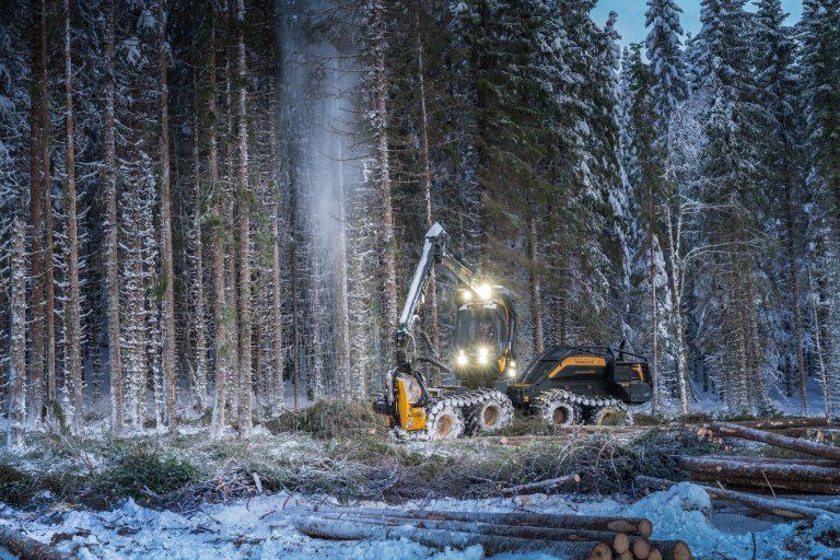 Om frisk skog i god vekst avvirkes før den er hogstmoden, mens den løpende tilveksten fremdeles er høy, vil dette medføre redusert produksjon av virke og lavere karbonopptak på arealene, sier skogforsker Helmer Belbo ved NIBIO Steinkjer. Foto Steinar Johansen - Statskog