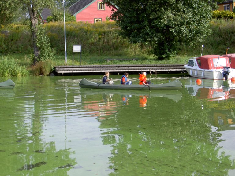 Kids in canoe in algae soup_ES