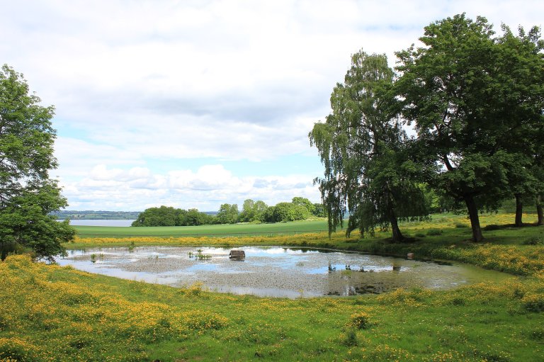 Gårdsdam_ved_Hovinsholm_gård,_Helgøya