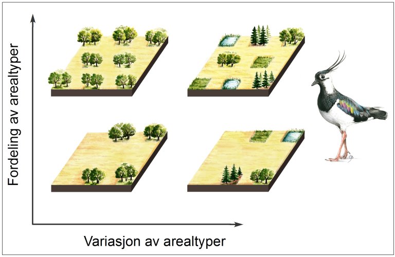 norsk_fig_graphical_abstract (002)