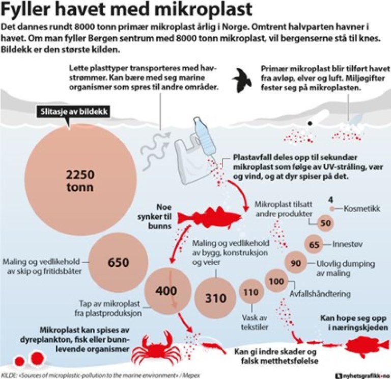 Infografikk_miljødirektoratet.jpg