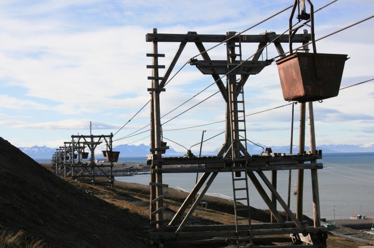 Taubanebukker i Longyearbyen - Foto AC Flyen NIKU.jpg