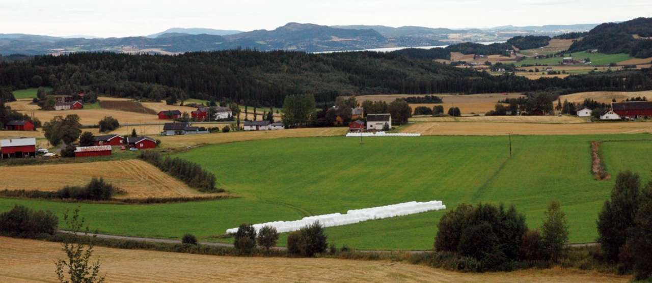 trøndelag