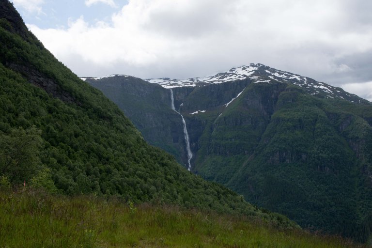 Skog i bratt terreng_cropped.jpg