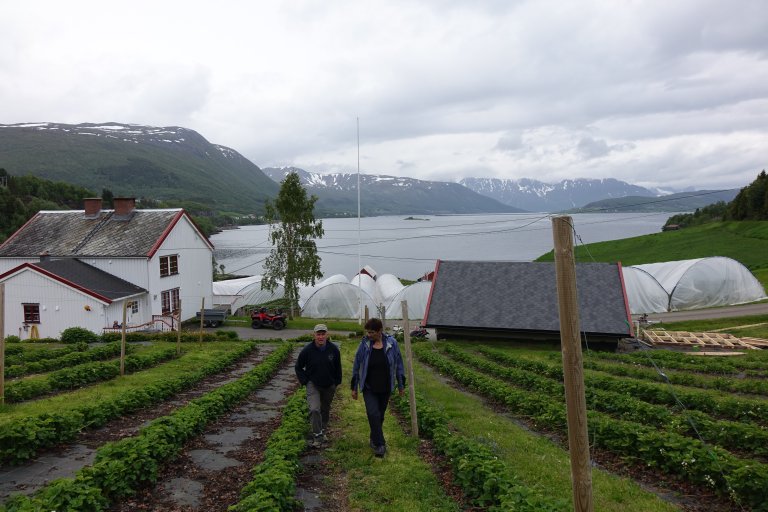 Frode Vik Ingrid Myrstad friland Vik. j.sch