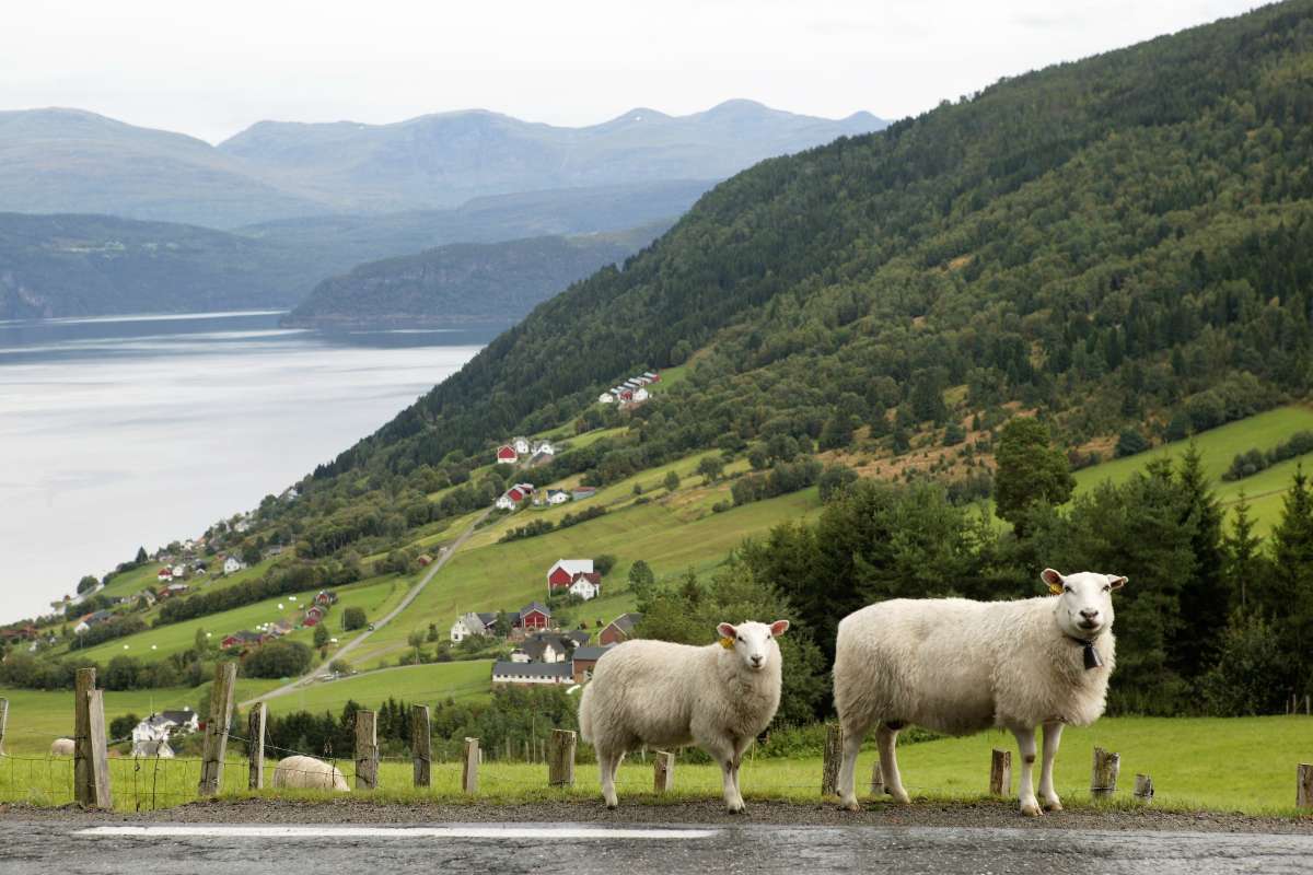 Utvik Nordfjord_Stryn_Sogn og Fjordane_Foto Oskar Puschmann