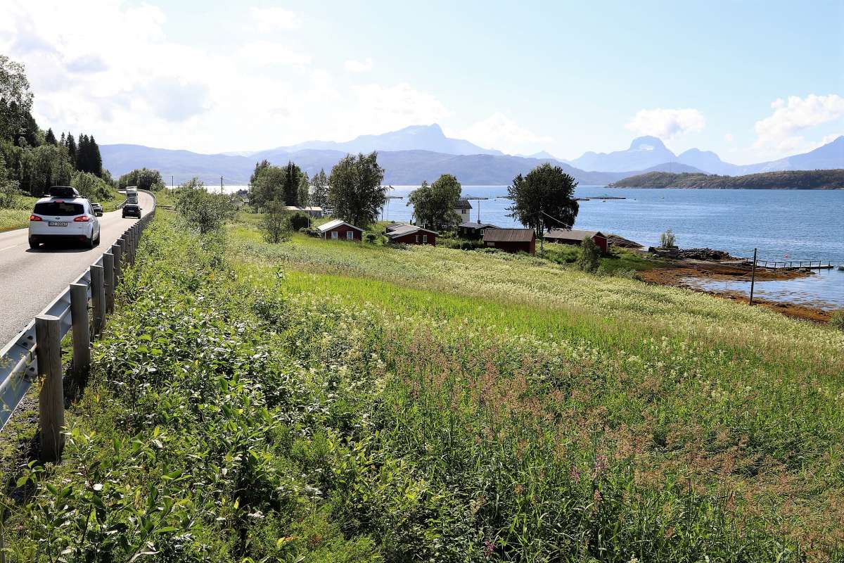 20180726-OSP-9152_nedlagt-jord_Kalvika_Sørfold_Nordland__kl-1527