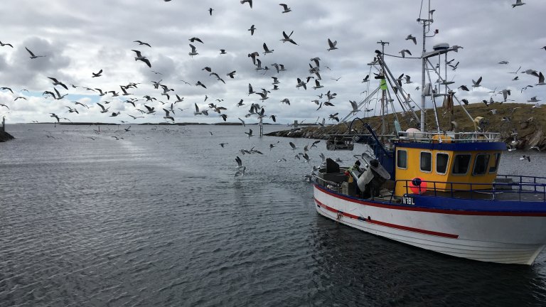 Fiskebåt med fangst på Selvær_Liv Jorunn Hind_cropped.jpg