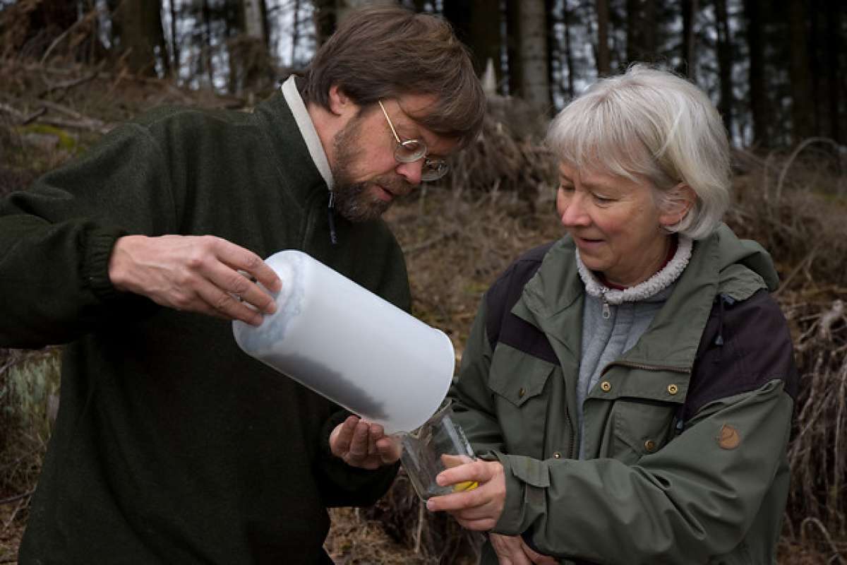 Tømming av barkbillefeller - Foto - Lars Sandved Dalen - NIBIO