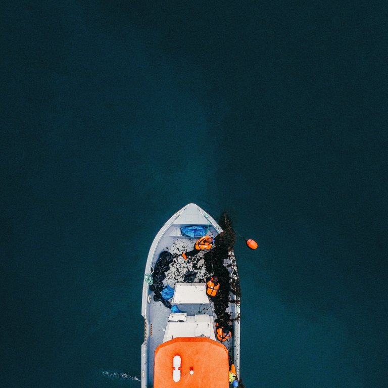 ACE_Drone - Photo TYD.jpg