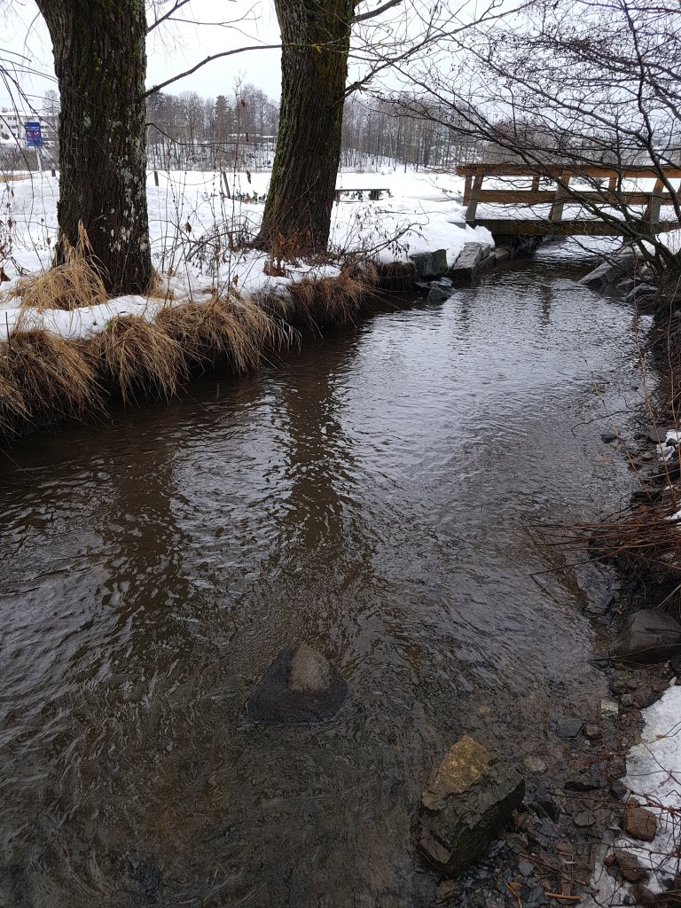 20180201_Bølerbekken utløp til Østensvjøvannet.jpg