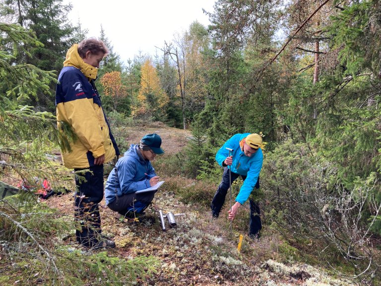 For hver prøveflate tas det flere jordprøver. Til sammen skal målingene fortelle om det gjennomsnittlige karboninnholdet i jorda på akkurat dét stedet. Foto: Irene Marongiu, NIBIO