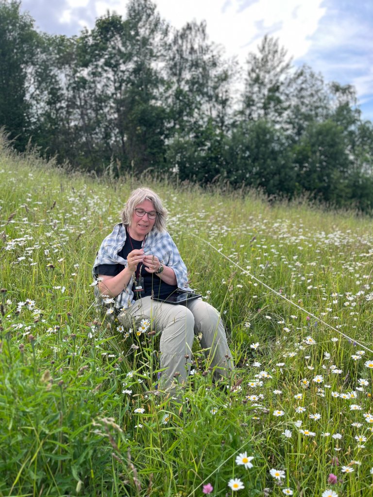 Hanne Sickel kartlegger blomstereng i Biri, Gjøvik. Foto: Ulrike Bayr