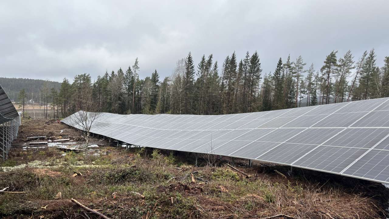 Solkraft 6 - Buer - Foto Jo Arne Marvik - NVE_cropped