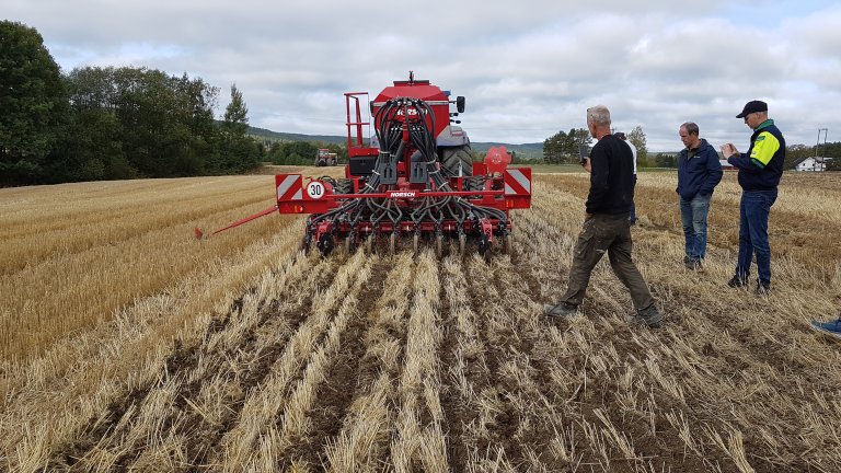 Minimal jordbearbeiding i form av direktesåing eller strip-till har vist seg å være gunstig for avlingen av høstkorn. Foto: Till Seehusen, NIBIO
