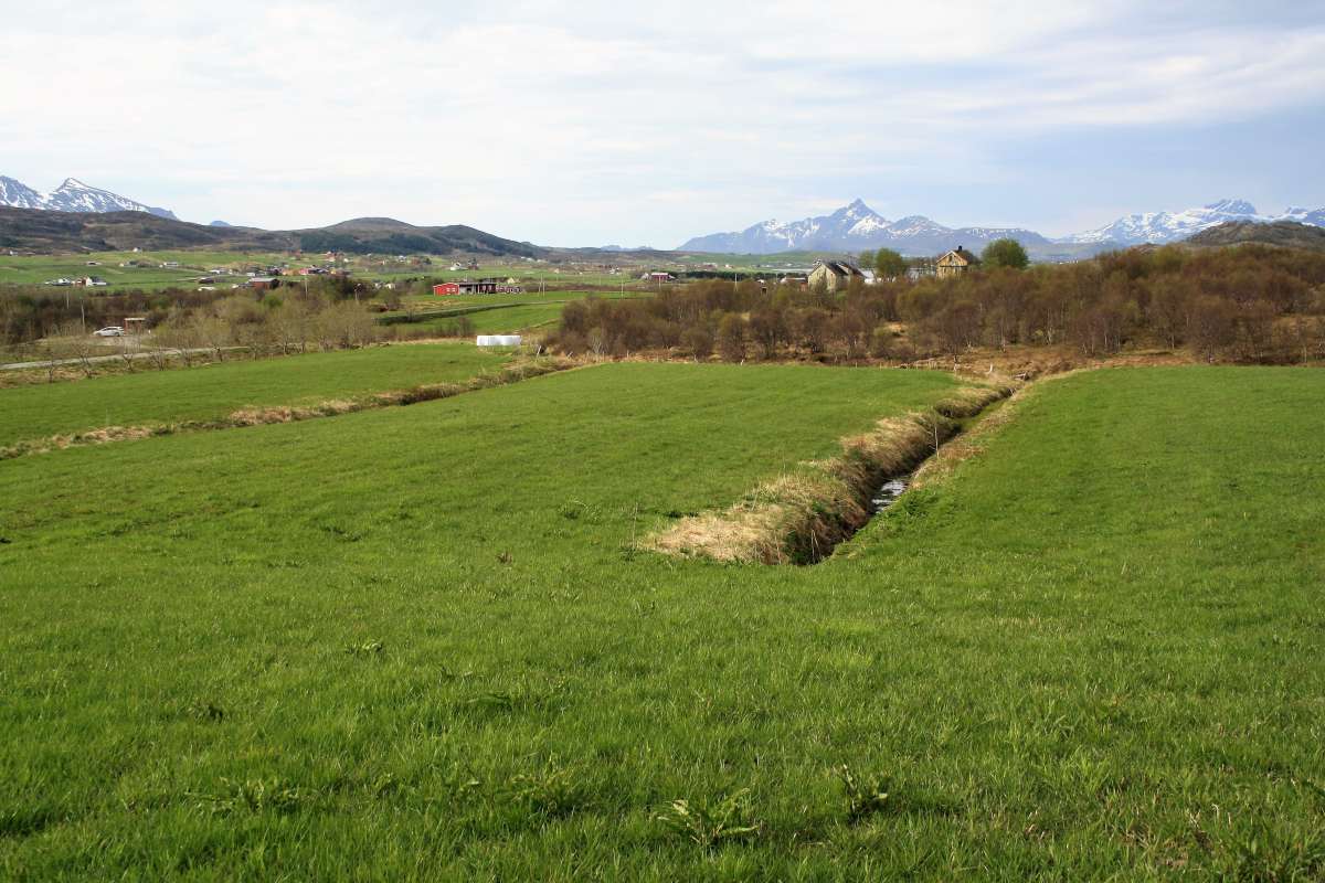 Dyrka myr i Vestvågøy. Jorda er omgravd og lagt tilbake for å få helling, slik at overflatevatn renn ned på sidene av arealet._Foto Åge A. Nyborg