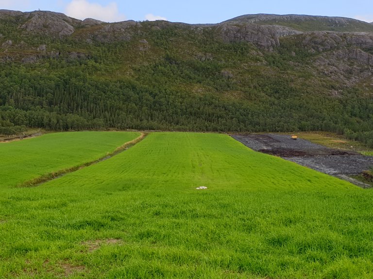 Omgravet og dyrket myr på Fureneset i Vestland fylke. Foto: Siri Svendgård-Stokke