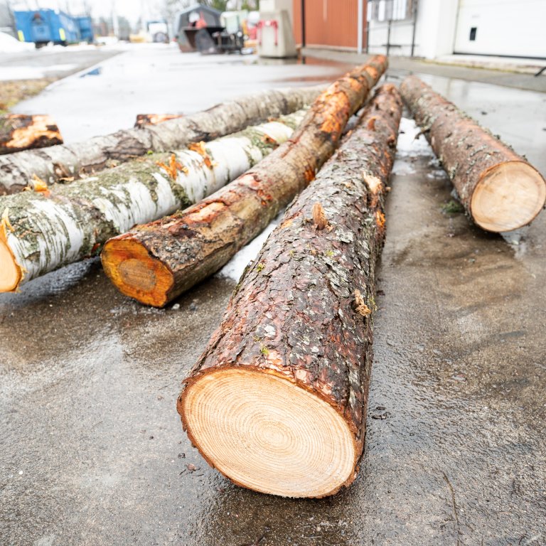 Med en pris per kubikkmeter bjørkeved på 700 kroner pluss merverdi og transport er det mye penger å spare på å velge ved av andre treslag. Foto: Lars Sandved Dalen