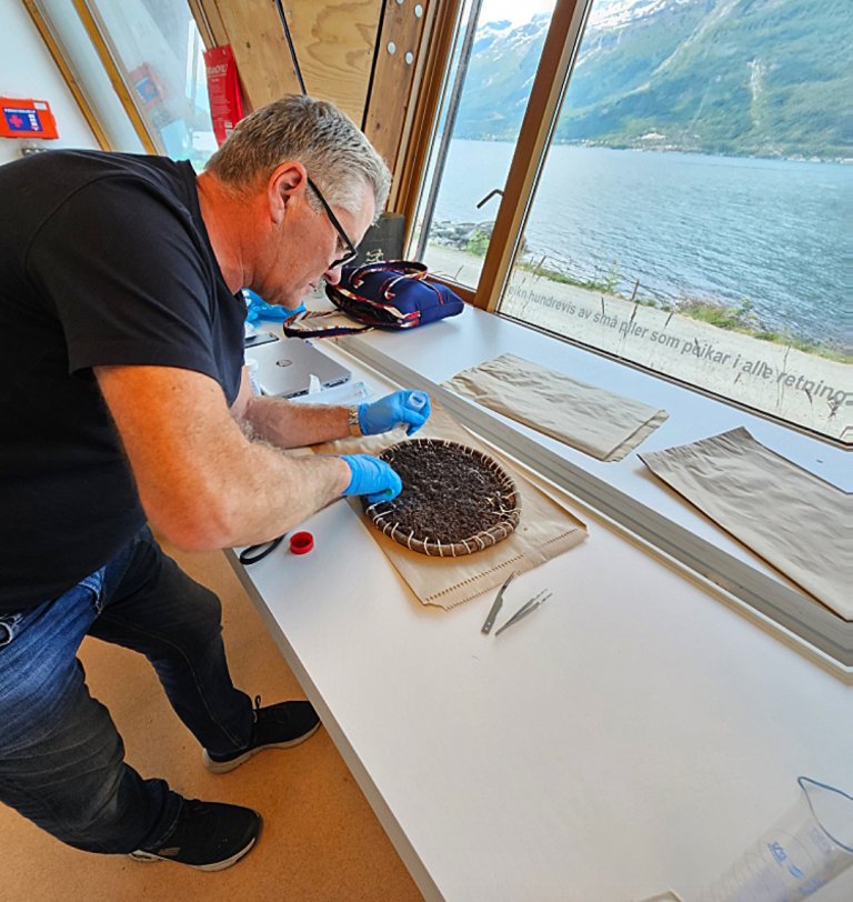 Hans Geir Eiken pirkar gjærbøs ut or ein gjærkrans av fletta hestehår. Foto: Atle Ove Martinussen / VKA