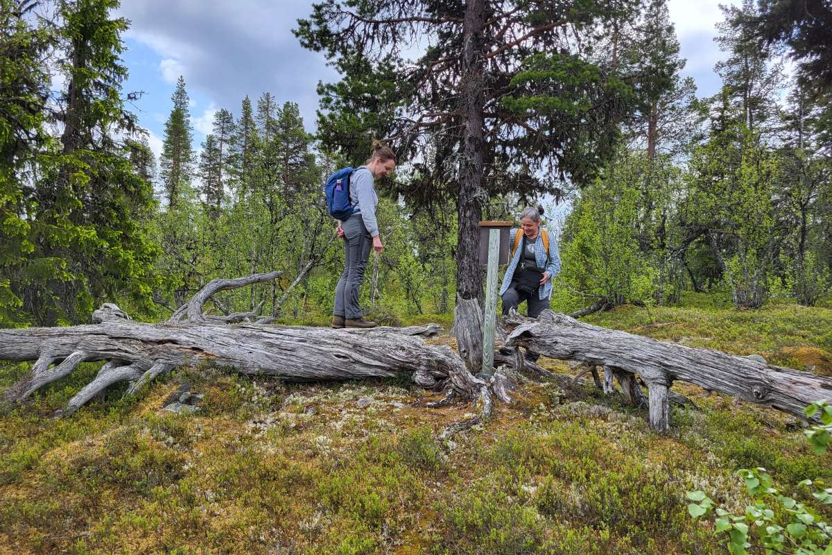 20250618_124425_cropped