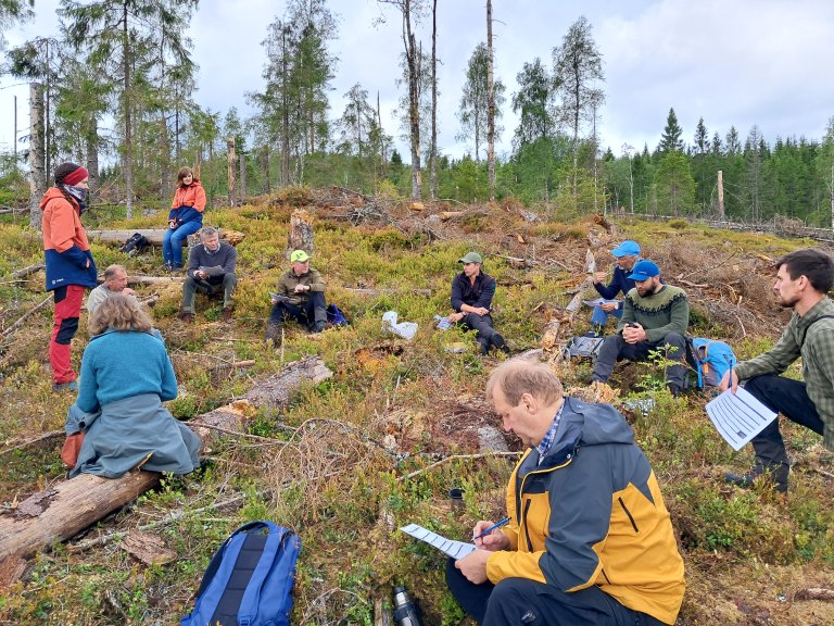 Dialoggruppa foreslo å erstatte begrepet «flatehogst» med «åpen hogst». Interessentene var enige om å utføre dette ved hogst av små arealer, ved at større bestand deles opp, samt å sette igjen trær på hogstflata. Her frå en befaring i Fritzøe skoger i Vestfold sammen med deltagerne i prosjektet Klimakløkt. Foto: Ingrid Knotten Haugberg, Statsforvalteren i Vestfold og Telemark