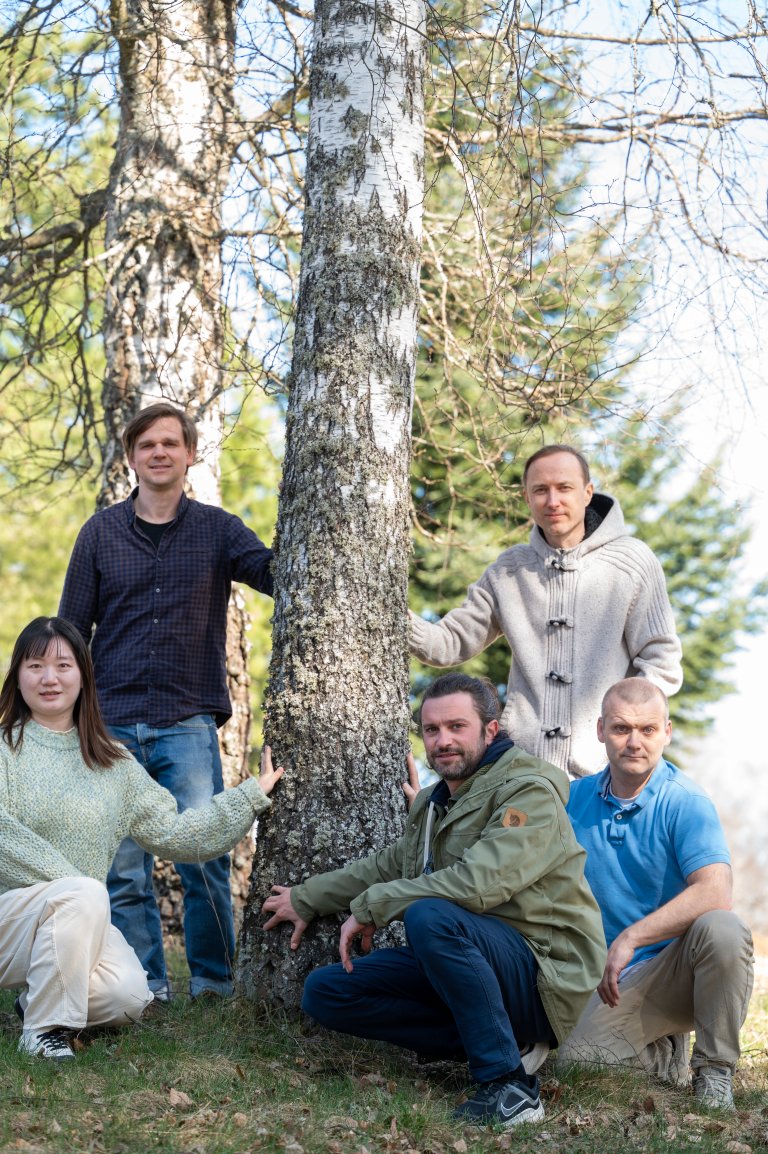 I prosjektet SmartForest, finansiert som et senter for forskningsdrevet innovasjon (SFI) av Norges forskningsråd, og i EU-prosjektet SingleTree, har NIBIO-forskerne gått sammen med aktører i både norsk og europeisk skogindustri og skogforskning. Her er noen av de mange forskerne. Fra venstre: Binbin Xiang, Johannes Rahlf, Stefano Puliti, Maciej Wielgosz og Rasmus Astrup. Foto: Lars Sandved Dalen, NIBIO