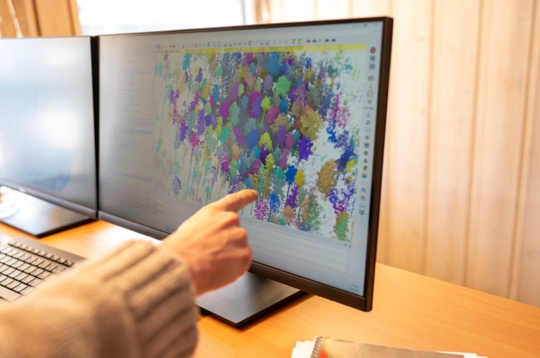 Bildet viser en lidar punktsky av enkelttre-segmentering av skogbestand. Foto: Lars Sandved Dalen