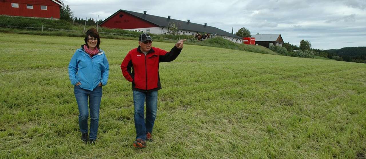 gras 1 - jørgensen og holden j.sch.