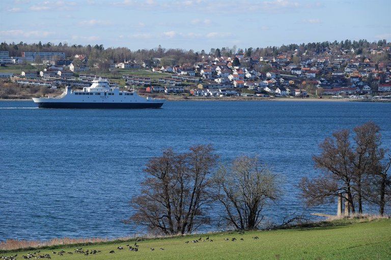 Sammen med kjente kilder fra kloakk og landbruk, kan nitrogenavrenning fra sprengsteindeponi bidra til vesentlig algeoppblomstring i både ferskvannsforekomster og marine områder - som her i Oslofjorden. Foto: Morten Günther