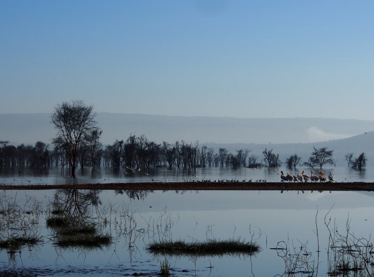 Lake Nakuru_ktg.jpg