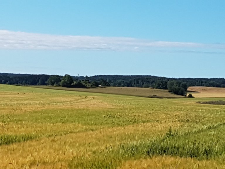 Etterrenning i byggåker i Råde, Østfold. Foto: Inga Holt, NLR