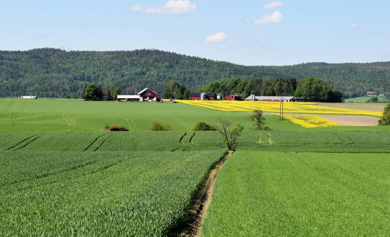 SED, bondegård, åker, Vestforld DSC_0607.jpg