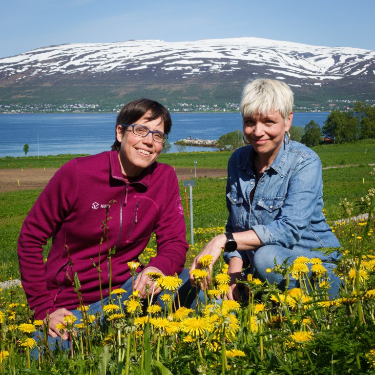 Frøydis Gillund (NIBIO) og prosjektleder Magritt Brustad (UiT Norges arktiske universitet). Foto: Jan Fredrik Frantzen, UiT