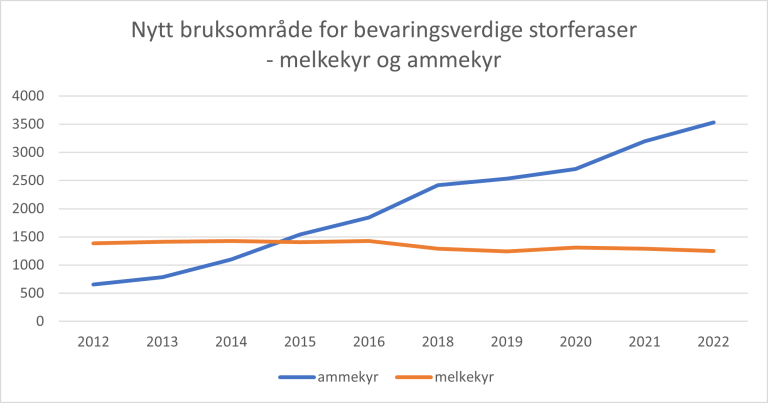 Antall melkekyr og ammekyr av bevaringsverdige storferaser i Norge (2012-2022).