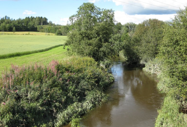 Elv m åker_vegsone Foto E. Skarbøvik