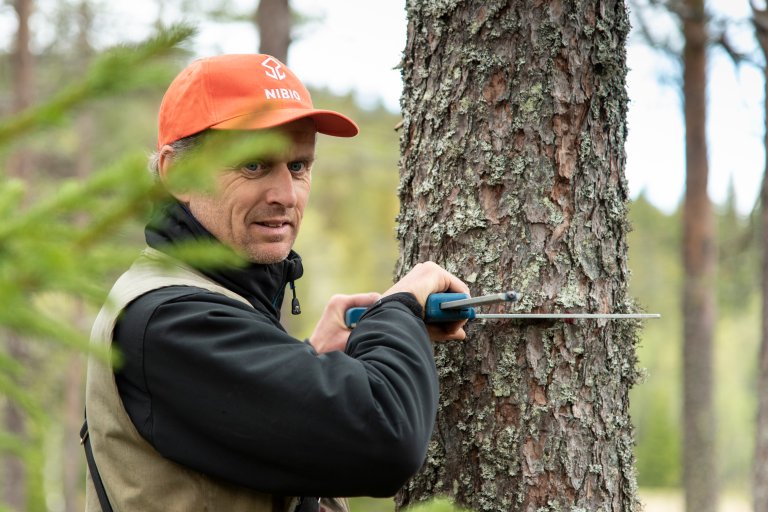 Landsskogtakseringen invertører er ute hvert år for å registrere skogens tilstand. Den norske Landsskogtakseringen er verdens eldste landsdekkende skogtaksering. Her er Erik Sørensen i aksjon. Foto: Lars Sandved Dalen