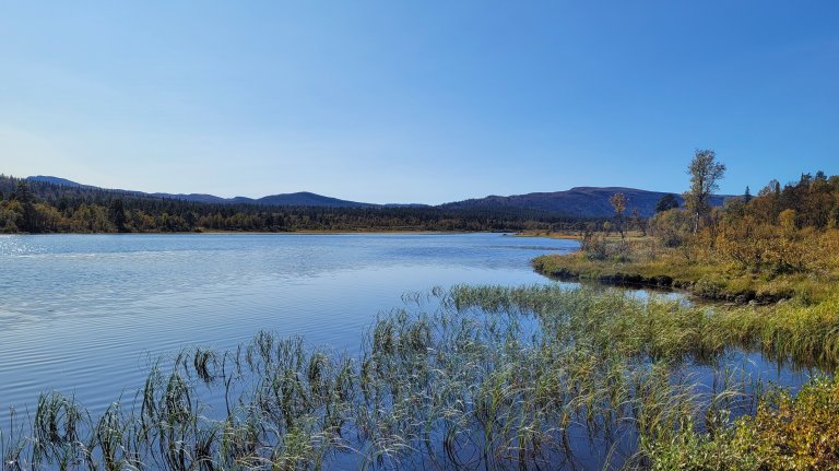 Ferskvann er ett av de sju hovedøkosystemene som inngår i Naturindeks for Norge. Foto: Morten Günther