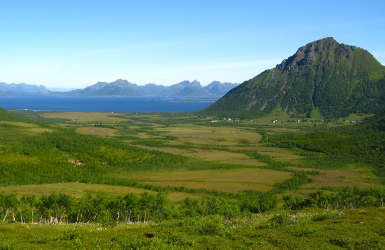 Det er mer myr i Norge enn kartene viser_Nordland_Foto-Anders Bryn