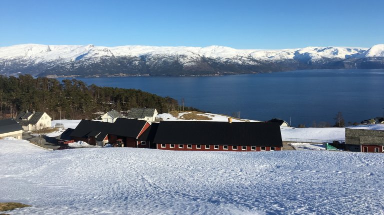 Mjølkebruk på Oma_Hardanger_Vestland_Foto Kjersti Kildahl2.jpg