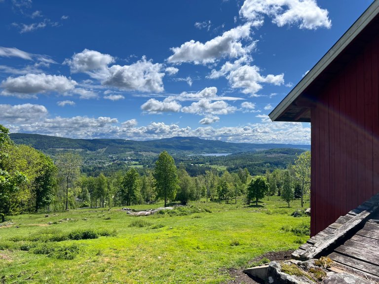 Fremmede arter, klimaendringer og forurensning truer naturmangfoldet. NIBIO kartlegger og analyserer hvordan disse faktorene påvirker økosystemene, og utvikler kunnskap som kan brukes til å gjøre dem mer robuste. Foto: Kathrine Torday Gulden