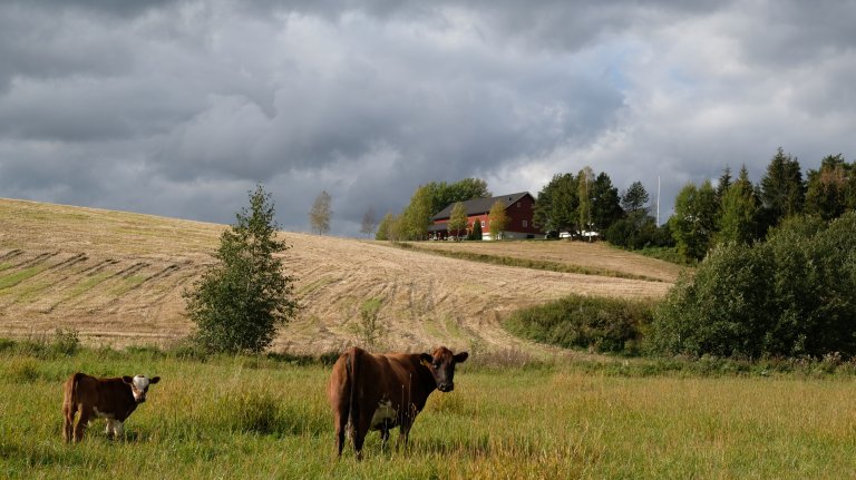 kki-20190926-115233.jpg