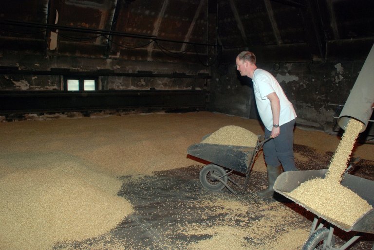 Bygg - malting foto LK Andreassen_cropped.jpg