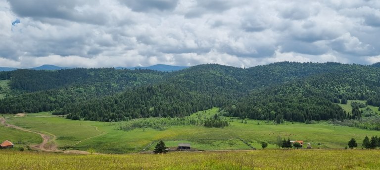 Landskap etter installering av elektrisk gjerde. Stăvilarul lui Kovács. Foto: Adorjan Tamas