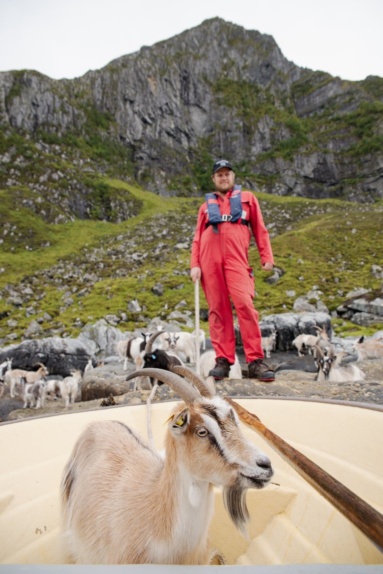 Ole Jonny Borgund har nylig tatt over drifta og er med det femte generasjon kystgeitebonde på Stad. Foto: Anette Tjomsland Spilling