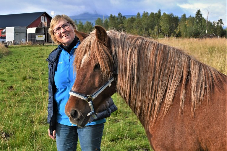 Nordlandshest/lyngshest er Norges minste gjenlevende hesterase. Etter å ha vært nær utryddelse, har rasen kjempet seg tilbake til en bærekraftig bestand. Framgangen er takket være ildsjeler som Gunn Grønås, som målrettet har jobbet for å bevare rasen og dens kvaliteter. Foto: Liv Jorunn Hind